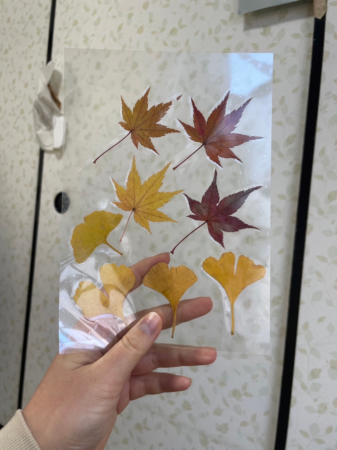 県営団地における子どもの居場所づくりの様子