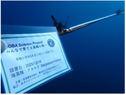 MOBA Science Projectの様子