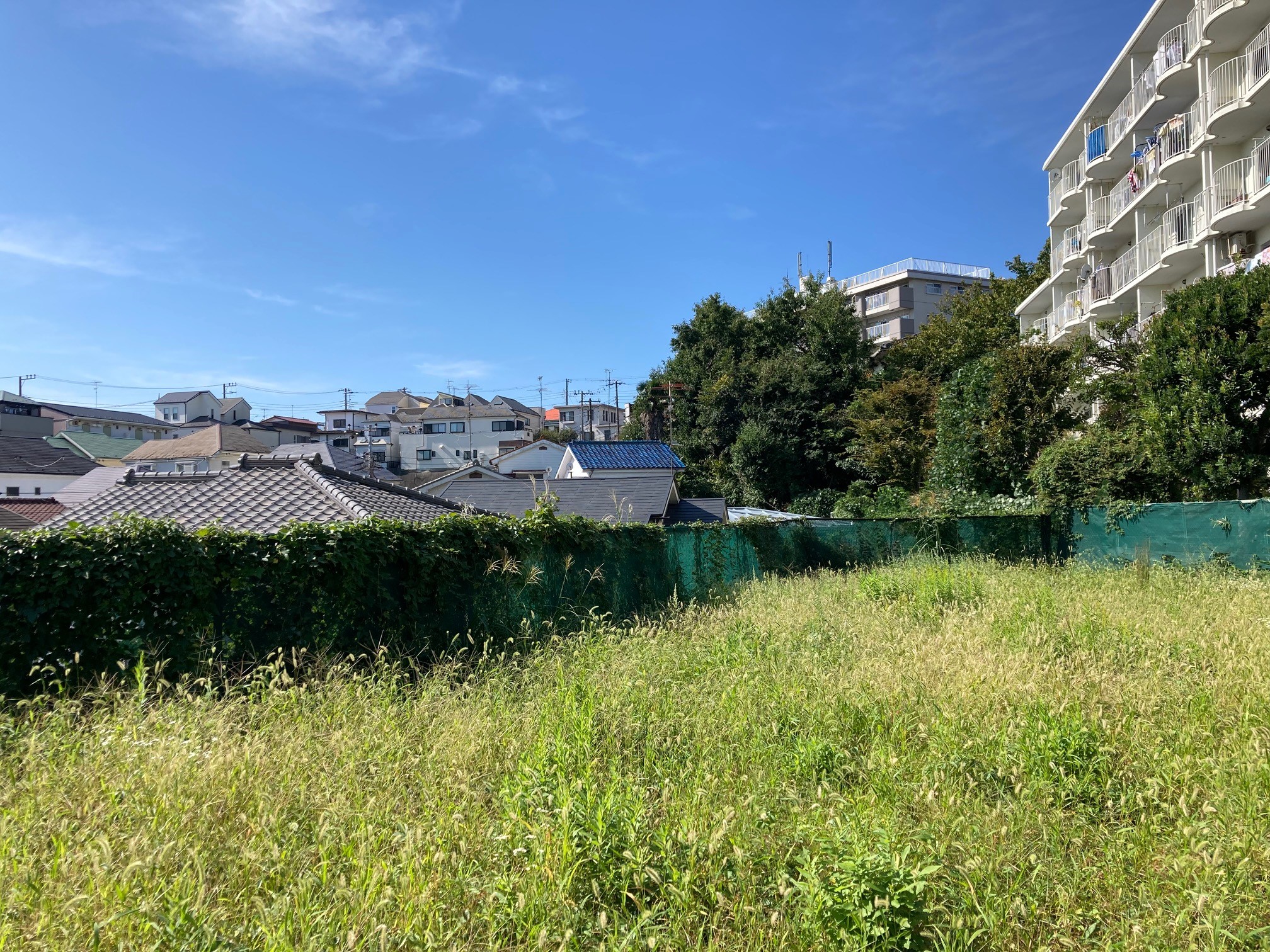 自然共生型都市ランドスケープ