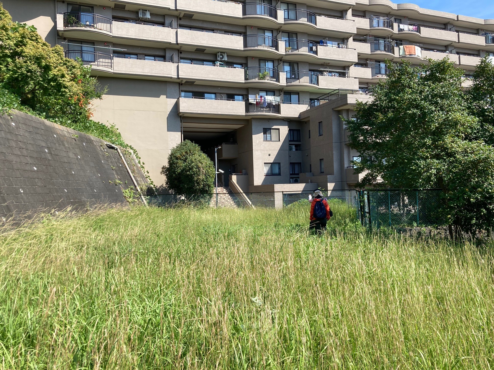 自然共生型都市ランドスケープ