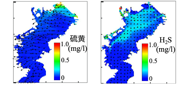 都市の海